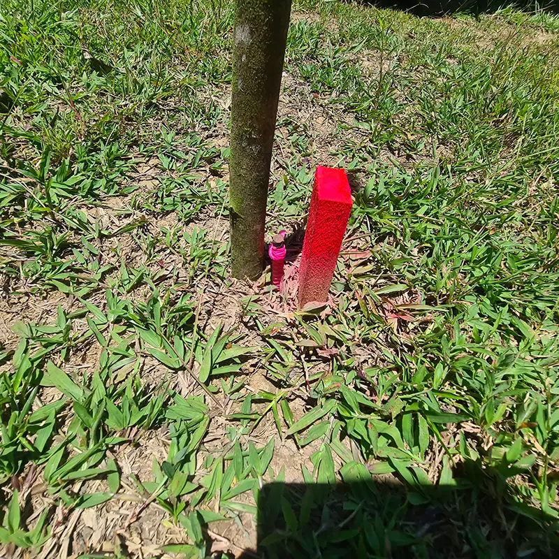 Tramite Catastro Inscripcion Planos Costa Rica